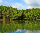 Image of Kalighat Creek, Diglipur Island, Andaman Islands.