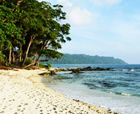 Image of Avis Island, Mayabunder Island, Andaman Islands.