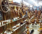 Image of Forest Museum, Mayabunder Island, Andaman Islands.