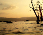 Image of Chidiya  Tapu, Port Blair, Andaman and Nicobar Islands.