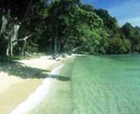 Image of Cutbert Bay Beach, Rangat Island, Andaman and Nicobar Islands.