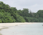 Image of Merk Bay beach, Rangat Island, Andaman and Nicobar Islands.